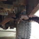 Illustration for article titled Please Help Me Decide If I Should Buy This 1979 Jeep Cherokee Golden Eagle